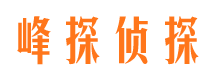 汉川侦探公司